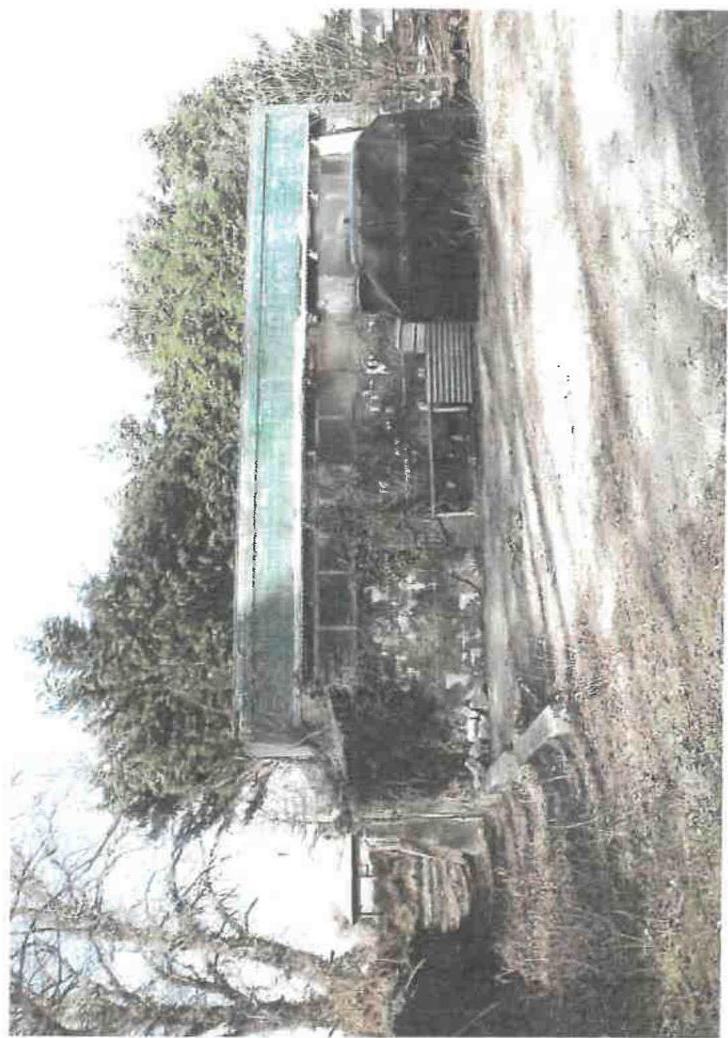 A rotated photograph showing a long, narrow agricultural outbuilding or shed with a green roof, situated next to a dirt track and surrounded by trees.