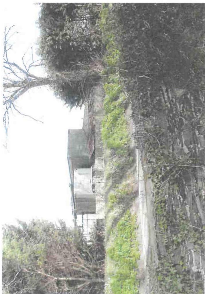 A rotated photograph showing a concrete structure, possibly a bunker or outbuilding, situated in an overgrown rural area with trees and vegetation.