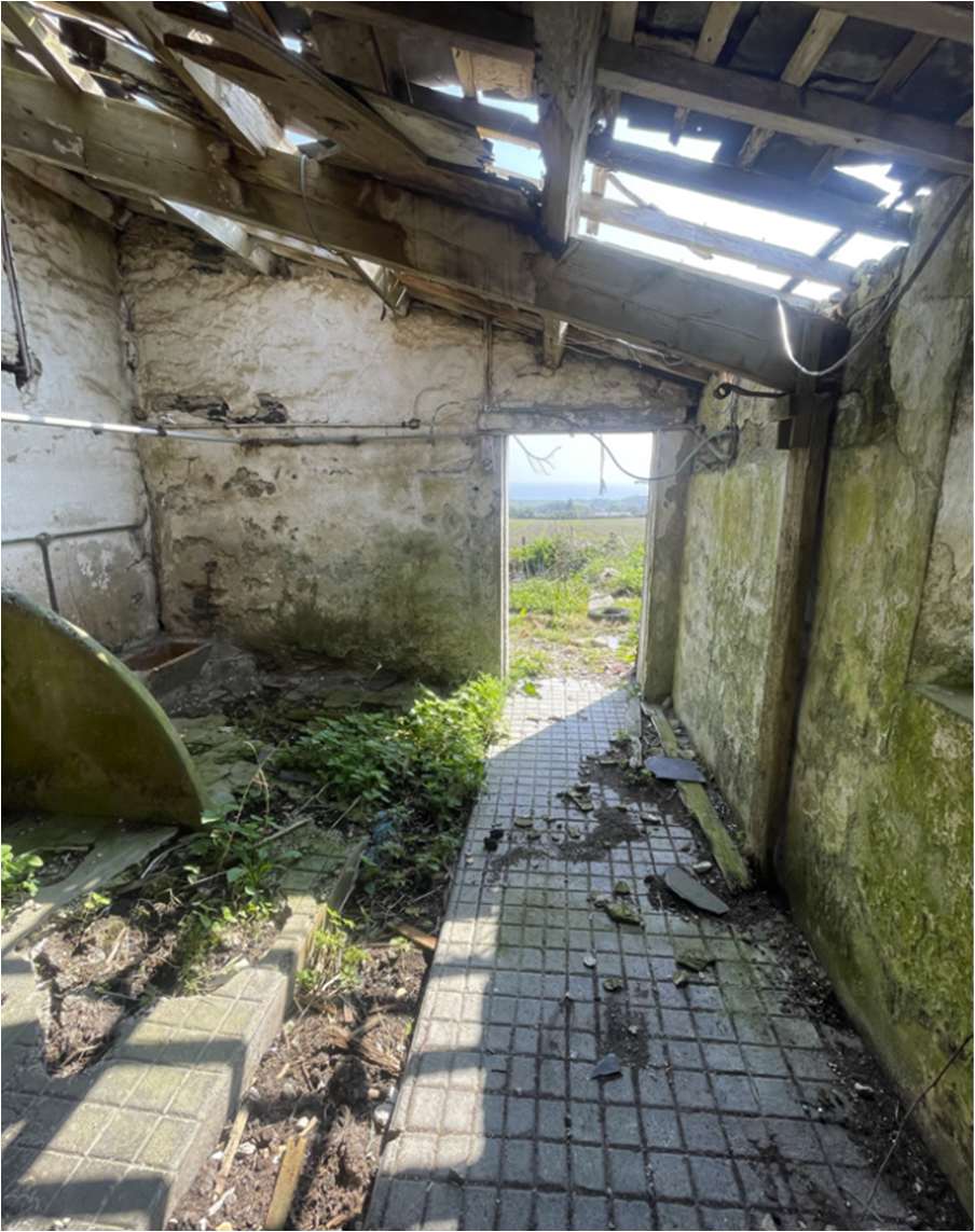 Interior photograph of a dilapidated agricultural barn showing damaged walls, exposed roof timbers, and vegetation growing on the tiled floor.