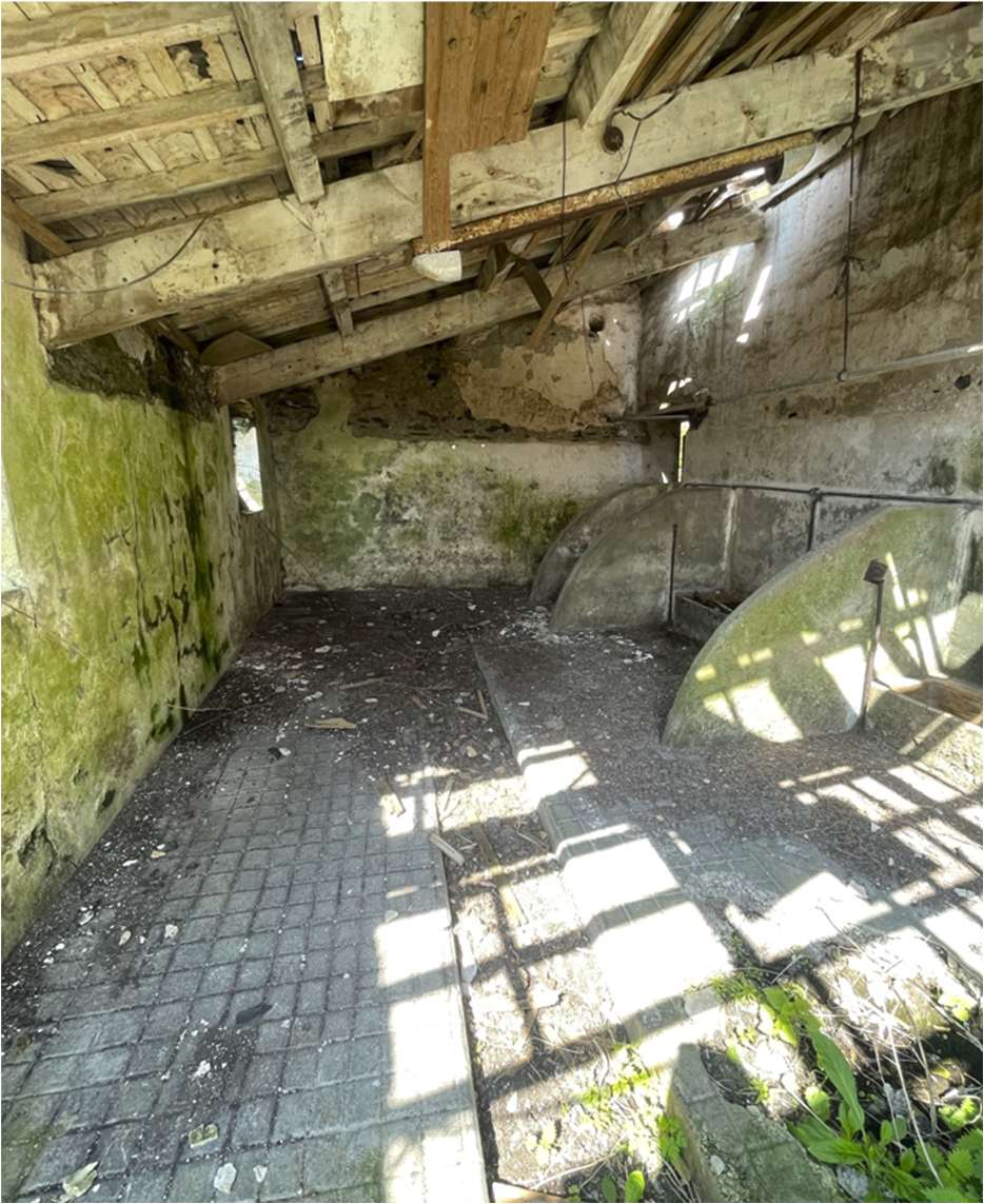 Interior photograph of a dilapidated agricultural barn showing exposed wooden roof timbers, mossy walls, and concrete feeding troughs.