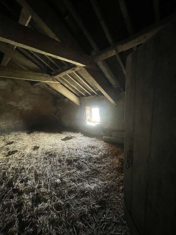 The image shows the interior of a rustic agricultural barn with exposed wooden roof beams and a floor covered in straw.