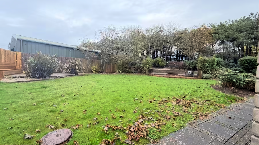 photograph from page 13