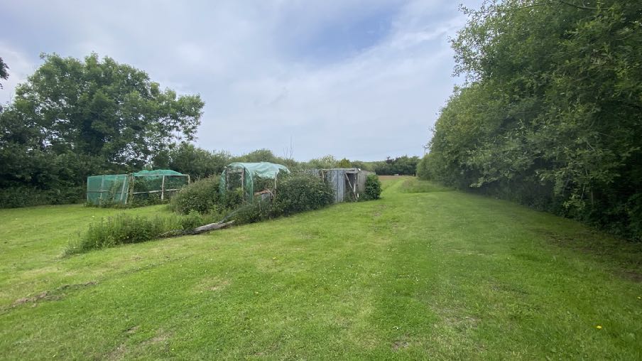 photograph from page 1