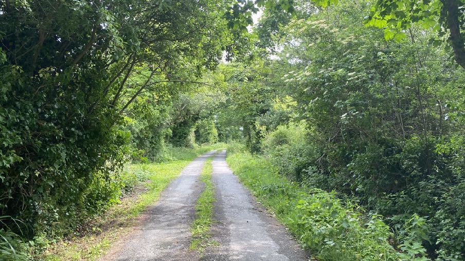 photograph from page 2