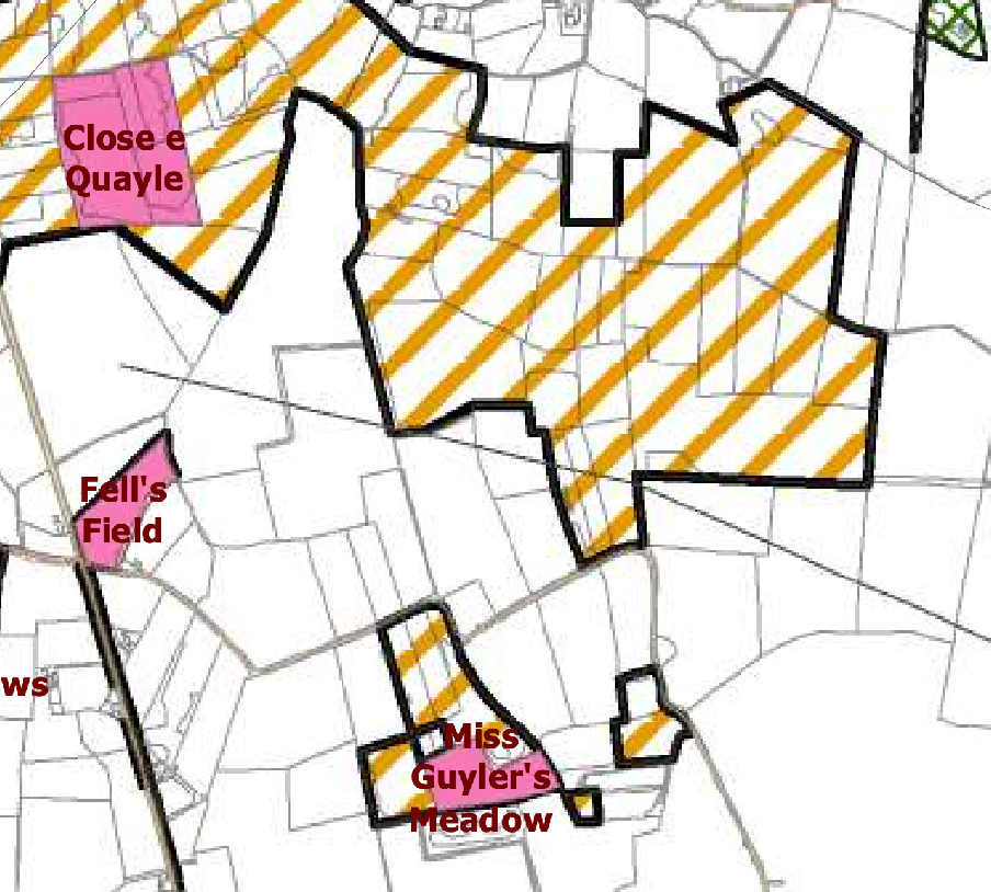 A site plan map displaying land parcels with thick black boundaries, yellow diagonal hatching, and pink highlighted areas labeled with field names.