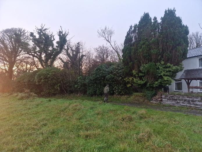 A photograph showing a grassy field bordered by mature trees and hedges, with a white house visible on the right side and a person walking near the vegetation.