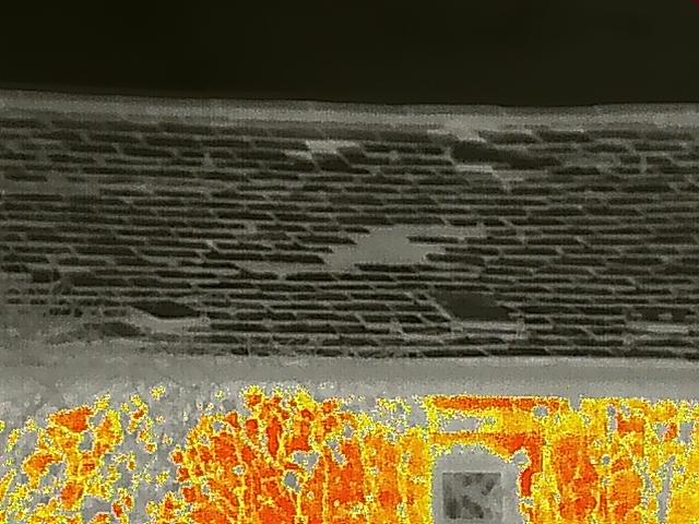 A thermal imaging photograph showing heat signatures, likely of vegetation or a building exterior, used for a bat survey.