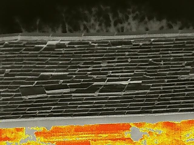 A close-up photograph of a slate roof showing the tile pattern and a gutter line, likely taken for a bat roost inspection.
