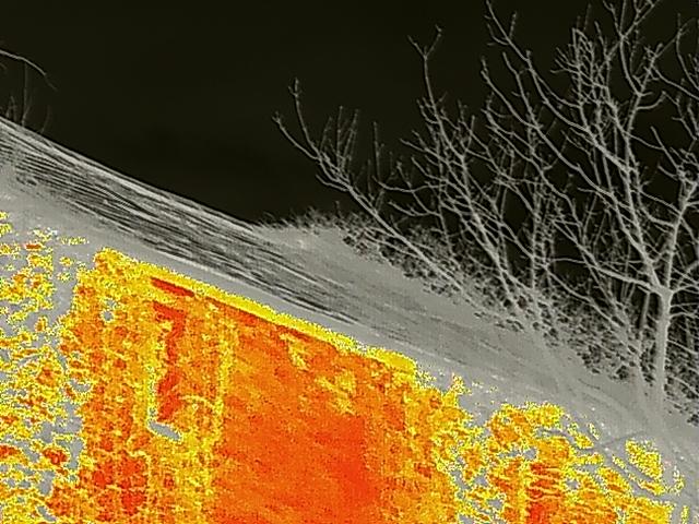 A thermal imaging scan showing heat signatures on a building roof edge and surrounding tree branches.