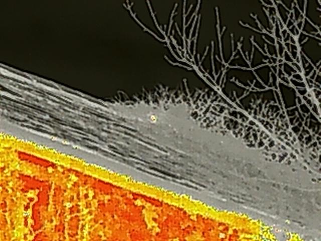 Thermal imaging photograph showing heat distribution on a wall or slope with tree branches visible against a dark background.