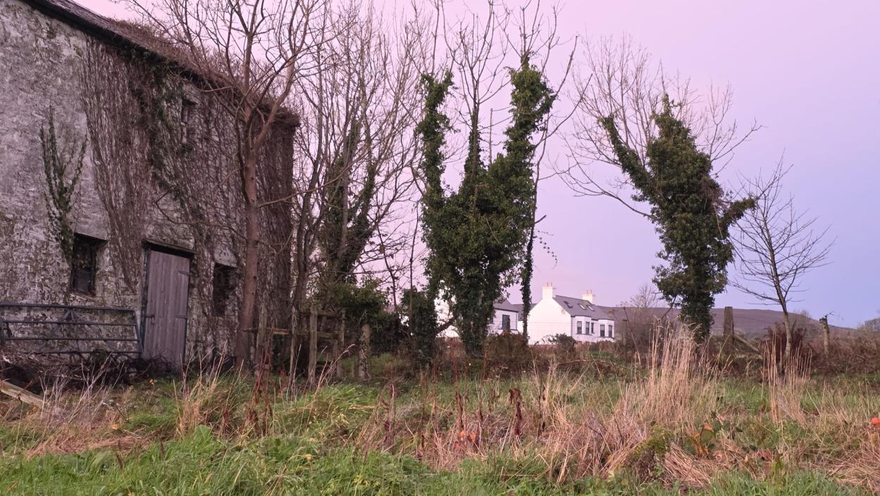 A photograph of a weathered stone barn or outbuilding covered in ivy, situated in a rural setting with trees and a white house in the background.