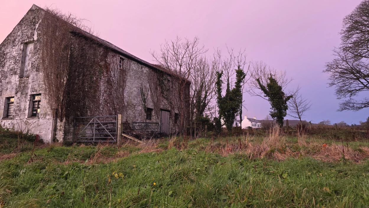 A photograph of a large, weathered stone agricultural building or barn covered in ivy, situated in a grassy field under a pink evening sky.