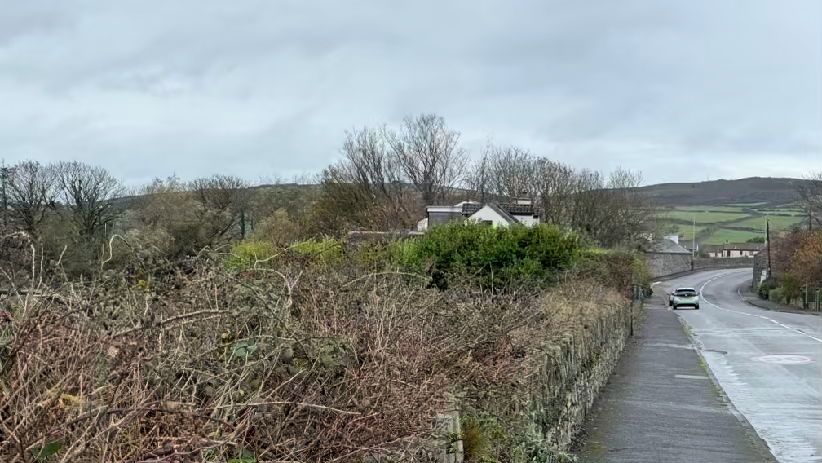 A rural roadside view featuring a stone wall, overgrown vegetation, and houses in the distance under an overcast sky.