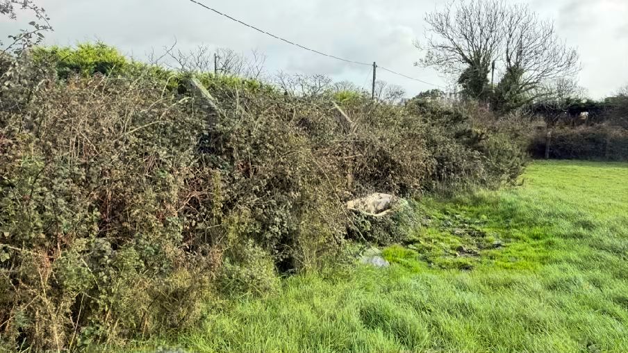 photograph from page 6