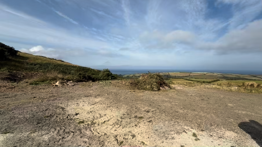 photograph from page 3