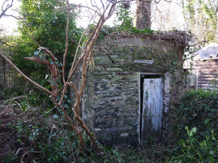 A photograph showing a dilapidated stone outbuilding or shed heavily overgrown with vegetation and trees.