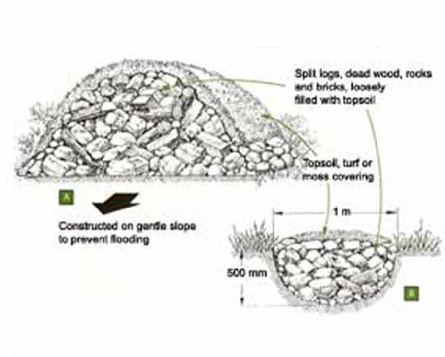 Technical cross-section diagram illustrating the construction layers and dimensions of an ecological mound feature.