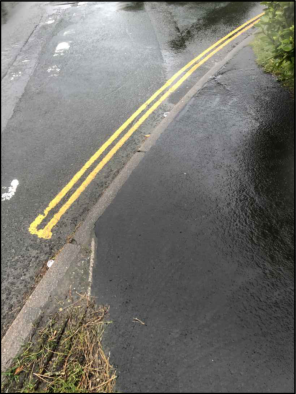 A close-up photograph of a wet asphalt road surface featuring double yellow lines painted along the curb edge.