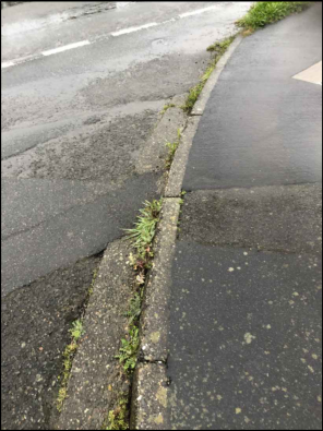 A close-up photograph showing a concrete curb separating a paved road from a footpath, with vegetation growing in the cracks.