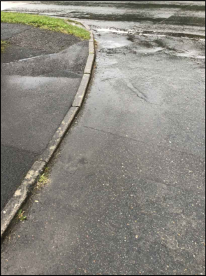 A close-up photograph showing a wet asphalt road surface meeting a concrete curb and a patch of grass.