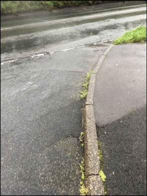 A close-up photograph showing a wet asphalt road surface meeting a concrete curb and paved area, with weeds growing in the gap.