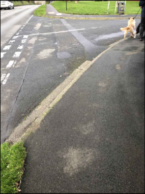 A ground-level photograph showing a paved road surface with white markings, a curb, and a grassy verge. A dog and part of a person are visible on the right side near the edge of the pavement.