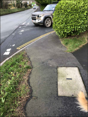 A street-level photograph showing a silver SUV parked on a road with double yellow lines next to a sidewalk and a large green hedge.