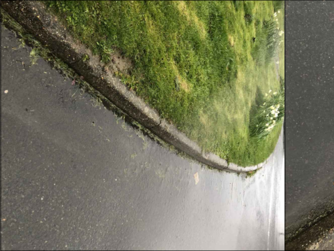 A close-up photograph showing the edge of an asphalt road meeting a grassy verge separated by a concrete curb.
