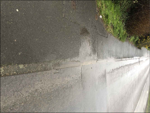 A rotated photograph showing a paved road surface, a concrete curb, and a grassy verge with vegetation.