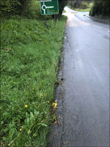 A photograph showing a grassy roadside verge next to a paved road, with a green roundabout directional sign visible in the background.