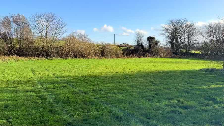 A photograph of a green grassy field with a line of trees and hedgerows in the background under a blue sky.