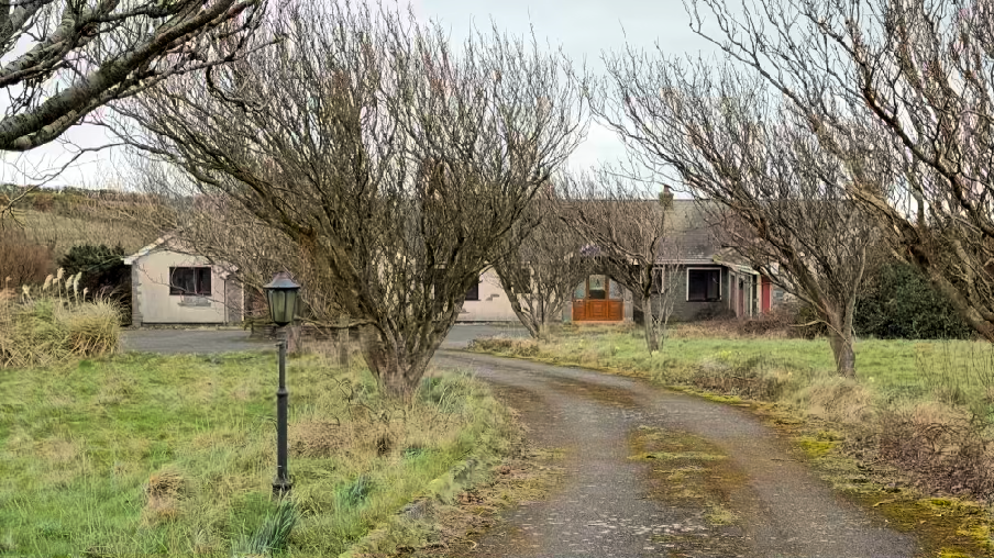A photograph showing a rural property with a gravel driveway leading to a detached bungalow, framed by large leafless trees and a lamp post.