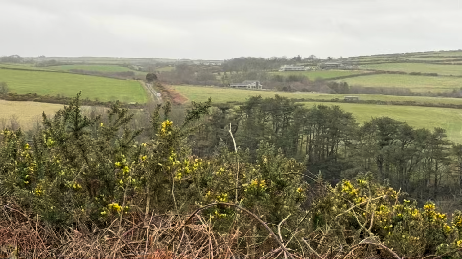 A landscape photograph showing a rural valley scene with green fields, hedgerows, and trees under an overcast sky. The foreground features gorse bushes and vegetation typical of the Isle of Man countryside.