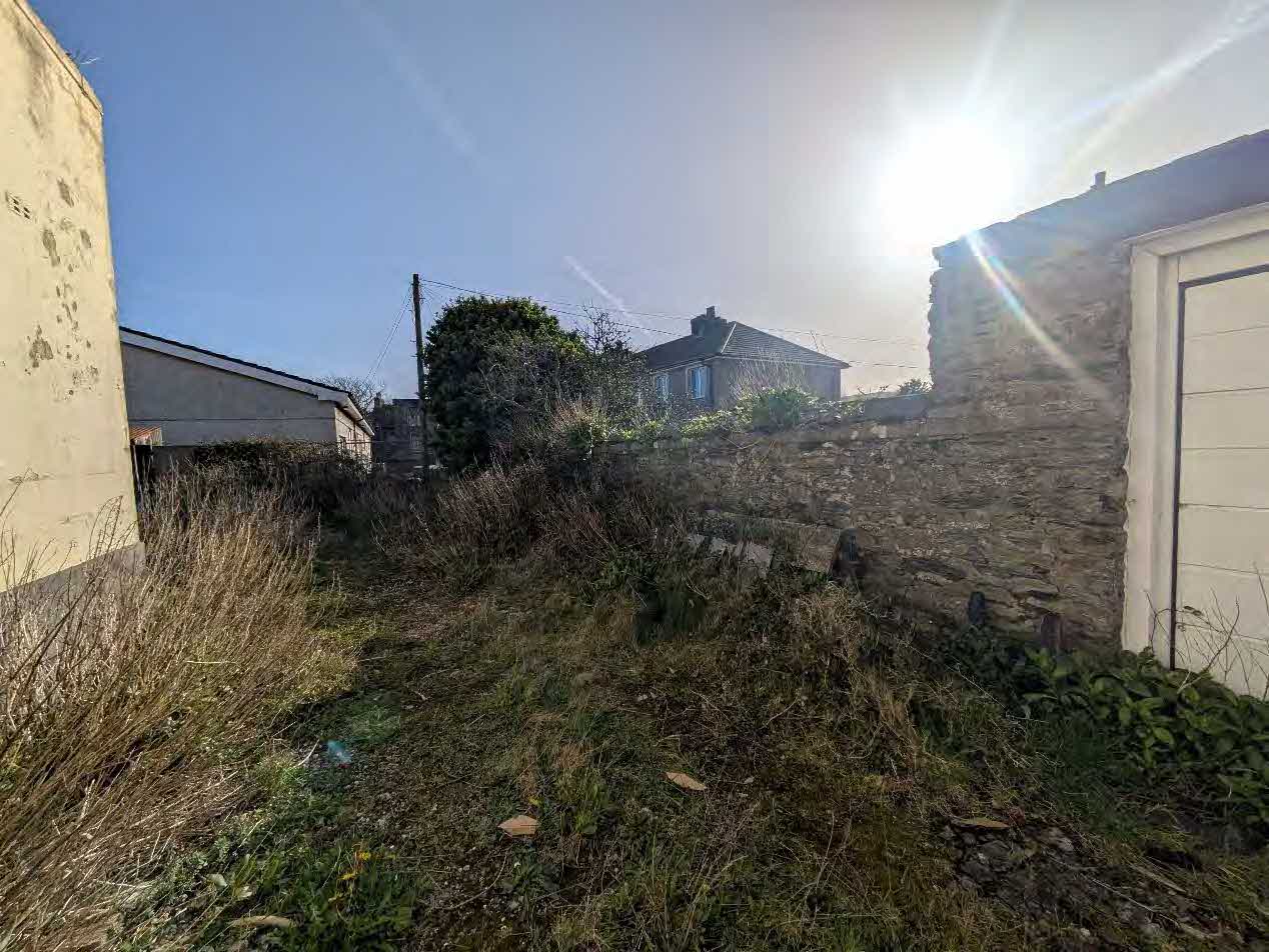 A photograph showing an overgrown grassy area between buildings, featuring a stone boundary wall and a stone outbuilding with a white door.